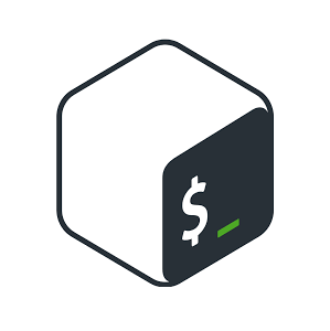 bash-logo-img